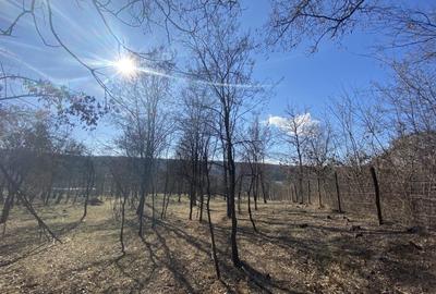 Teren Valcanesti între Comarnic și Valenii de Munte - 16