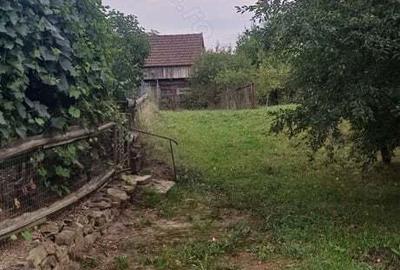 Casa de Vinzare - 6
