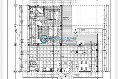 Royal Imobiliare - Vanzare Casa zona Campina - 8