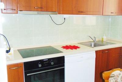 Apartament cu 3 camere,mobilat si utilat, Astra-Somes - 7