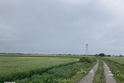 Teren de 4801 mp, în Săbăreni - 4