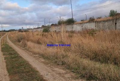 Teren constructie hale - 10