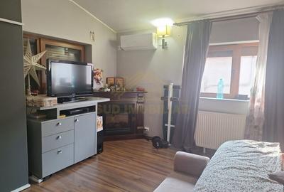 VILA P+1 INDIVIDUALA-MEGA IMAGE PRIMARIE VILA P+1 INDIVIDUALA-MEGA IMAGE PRIMARIE - 33