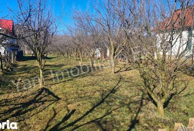 Teren de 1422 mp, în Corbeni - 3