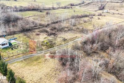 Spațiu comercial, în Cisnădioara - 6