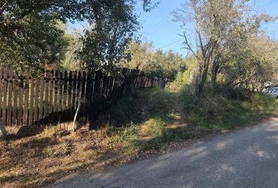 Teren de 2631 mp, în Malu Mierii - 4