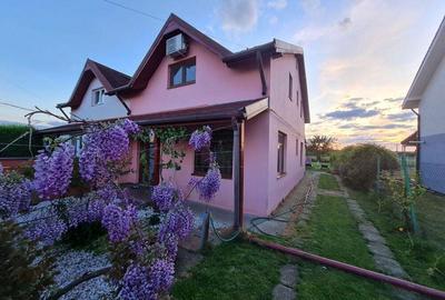 Casă cu 2 camere în Moșnița Nouă - 2