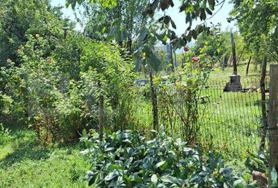 Casa 3 camere, 129mp, zona Viisoara , teren 1240mp - 14