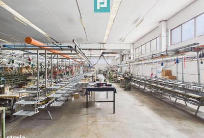 Spațiu comercial, de 3,200 mp, în Pleșcuța - 14