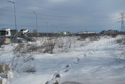 Teren Construcții intravilan de 5180 mp, în Clinceni - 6