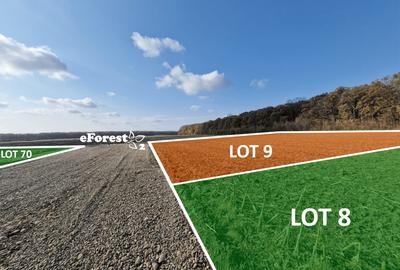Loturi de casă 720 - 900 mp, langă Pădure în eForest, acces asfaltat - 3