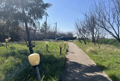 Vila Branesti Islaz foarte spatioasa stradala-ideal afacere - 2