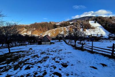 Teren intravilan Simon/Bran, 4318 mp , casuta intabulata, utilitati - 22