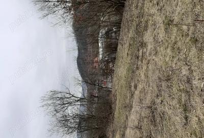 Casă în Central - 5