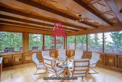 Afacere la cheie! Resedinta de lux- statiunea Paltinis! - 5