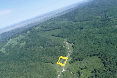 Proprietate specială, de 84 mp, în Dumbrăvița - 10