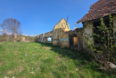 Teren de 3890 mp, în Șoarș - 7
