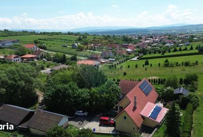 Casă cu 8 camere cu Teren 4534 Mp în Central - 18