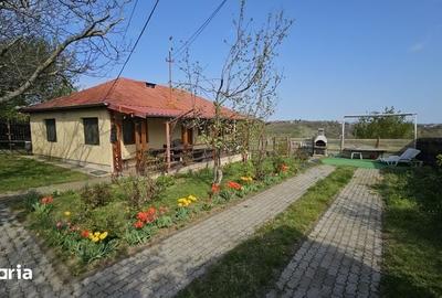 Casă cu 3 camere cu Teren 60 Mp în Boldești