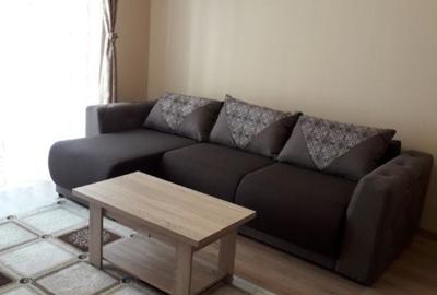 Apartament cu 2 camere în Elisabetin