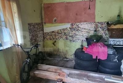 Casă cu 2 camere în Bădeni