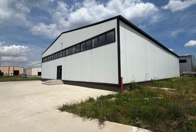 Spațiu industrial, în Theodor Pallady - 4