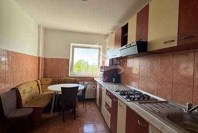 Apartament cu 2 camere, mobilat în Calea Dumbrăvii - 1