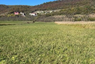 Teren de 7500 mp, în Central - 1