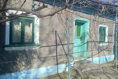 Casă cu Teren 2020 Mp în Dragoș Vodă - 2