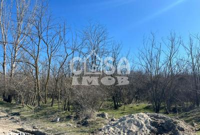 Teren de 6000 mp, în Petrești - 4