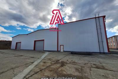 Spațiu industrial, de 6,857 mp, în Mârșa