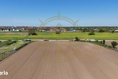 Teren de 9247 mp, în Snagov - 5