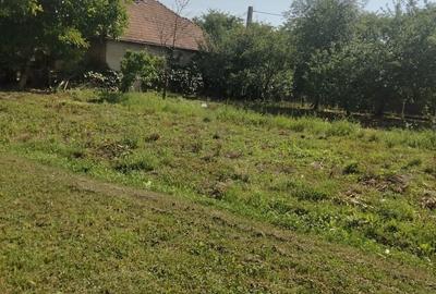 Casă cu 4 camere în Lăpuș