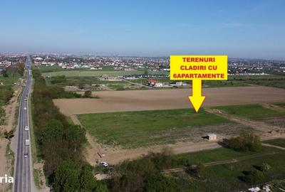 Spațiu comercial, în Moșnița Nouă - 2