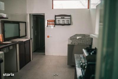 Casă cu 8 camere cu Teren 1120 Mp în Peștișani - 16
