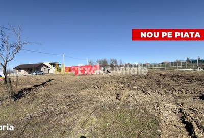 Teren de 533 mp, în Albota
