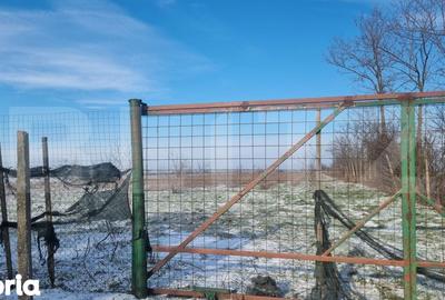 Teren de 50000 mp, în Ciorani - 1