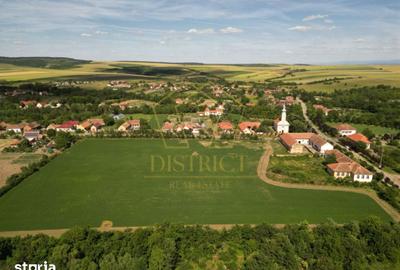 Teren de 16716 mp, în Traian Vuia - 7