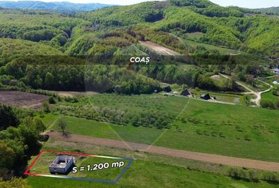 Casă cu 3 camere cu Teren 1200 Mp în Coaș - 4