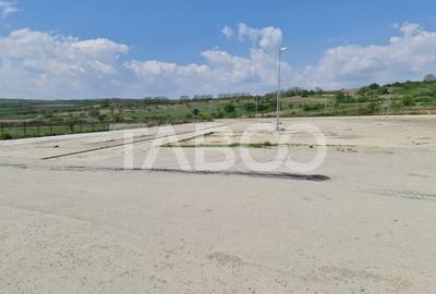 Teren Construcții intravilan de 40000 mp, în Teiuș - 4