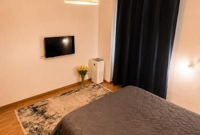 Apartament cu 2 camere decomandat, mobilat în P-ta Presei Libere - 11