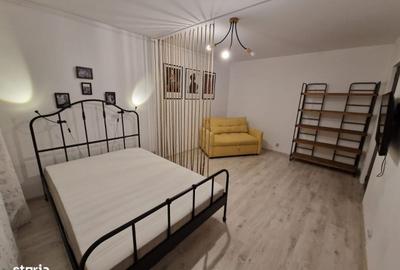 Garsonieră decomandată în Valea Ialomiței - 5