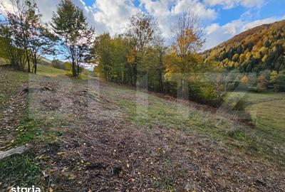 Teren de 2710 mp, în Vidra