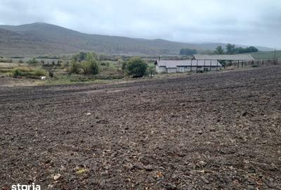 Teren de 120000 mp, în Mironeasa