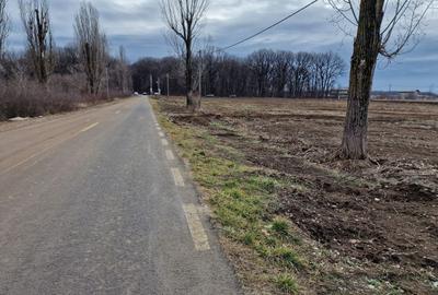 Teren Construcții intravilan de 12800 mp, în Ciolpani - 4