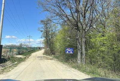 Teren de 5000 mp, în Băbana - 2