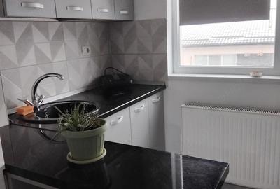 Apartament cu 2 camere semidecomandat în Dudu