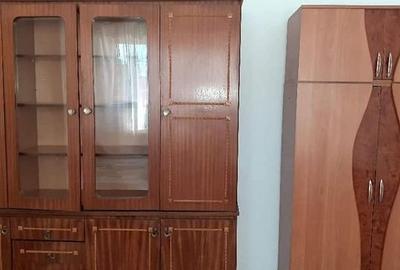 Apartament cu 2 camere semidecomandat în Podu Roș - 6