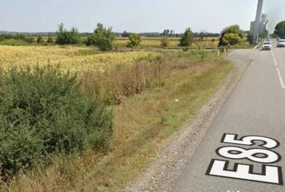 Teren de 23000 mp, în Secu - 1