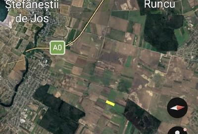 Teren de 18000 mp, în Afumați